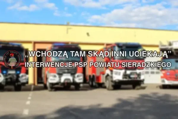 Pożar lasu w Józefowie – strażacy walczyli z ogniem przez ponad 5 godzin