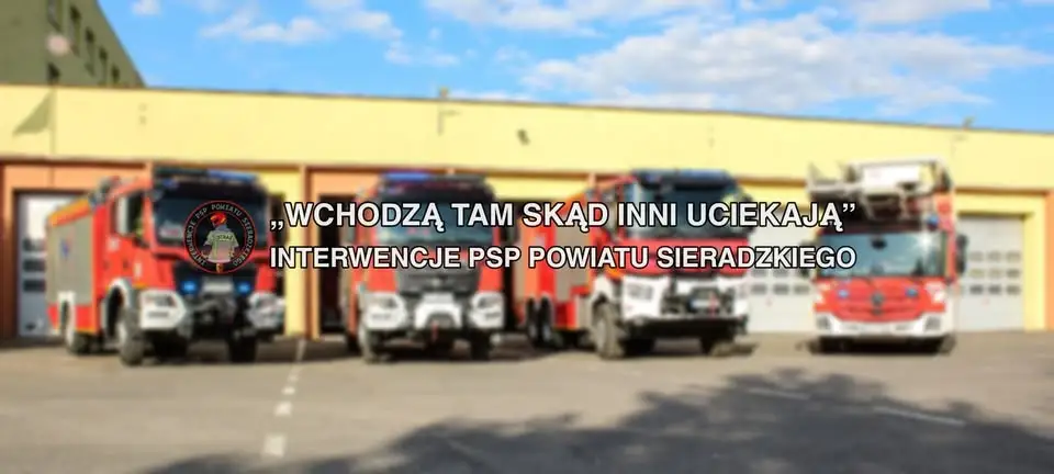 Pożar lasu w Józefowie – strażacy walczyli z ogniem przez ponad 5 godzin