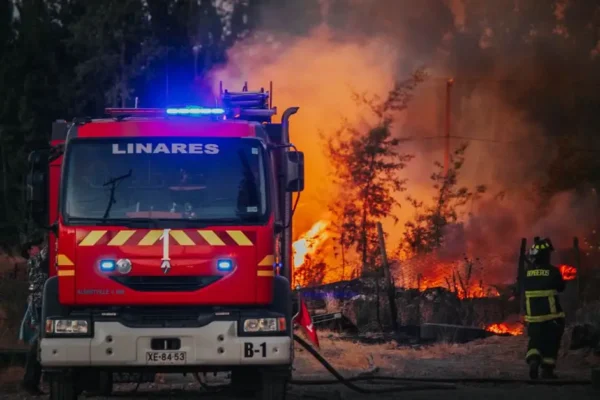Pożar krzewów w Kamienikach – strażacy z OSP Brąszewice w akcji