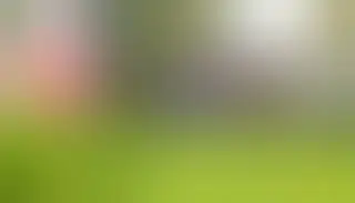 Sierpniowa Giełda Egzotyki w Złoczewie odwołana z powodu remontu ulicy
