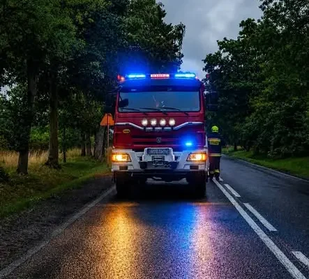 Konar na jezdni w Rembowie – interwencja OSP Brzeźnio