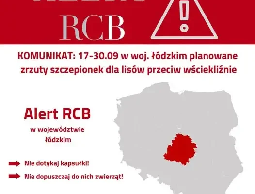 Alert RCB w woj. łódzkim: zrzuty szczepionek dla lisów przeciw wściekliźnie