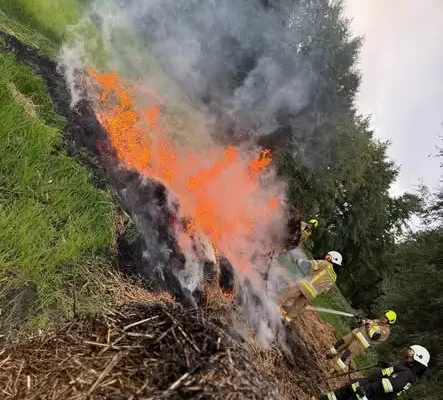 Pożar traw i lasów w Chabierowie – akcja OSP Warta i OSP Kalinowa