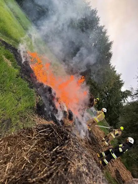 Pożar traw i lasów w Chabierowie – akcja OSP Warta i OSP Kalinowa