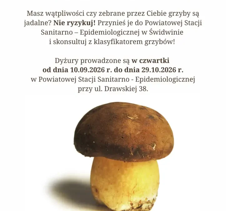 Świdwin: bezpłatne konsultacje grzyboznawcy w sanepidzie